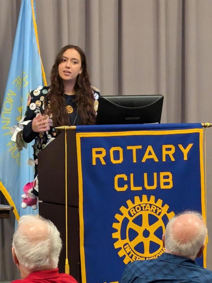 Leadership OpportunityA new Rotarian volunteers to chair a project.Club AProvides guidance... - image 3